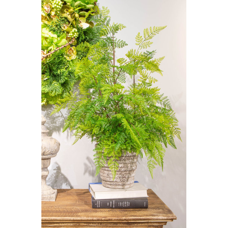 Gracie Oaks 31'' Faux Fern Plant in Ceramic Pot & Reviews Wayfair